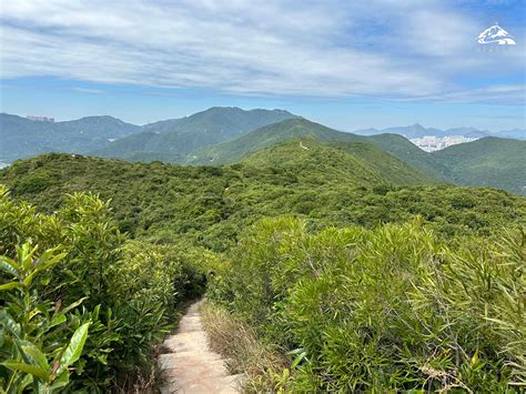 龍背|龍脊行山低難度五星靚景︱港島徑第八段(附交通)